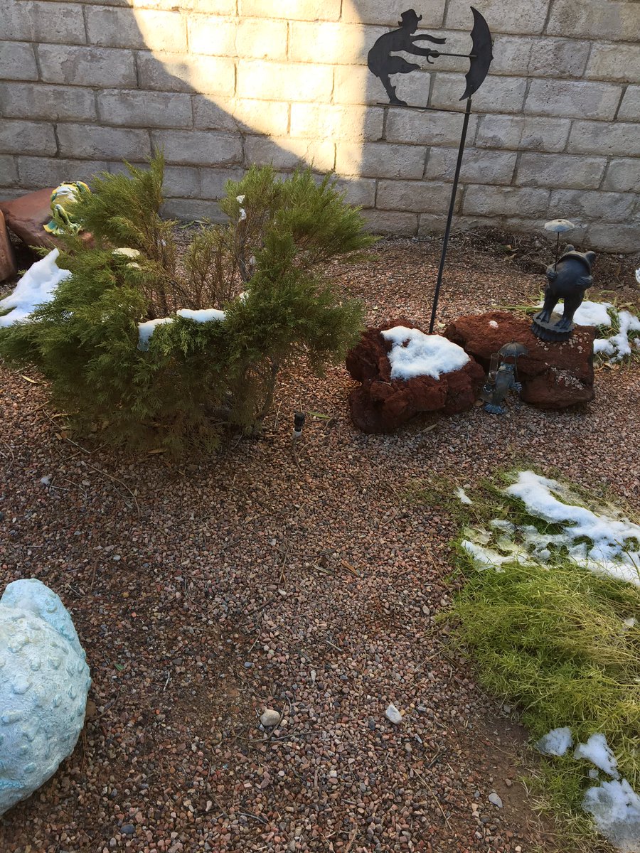 What the heck the white stuff continues to hang around! You have had your day, now bye-bye-bye.