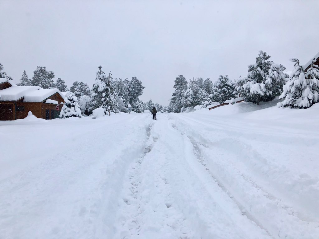 danathornton's tweet photo. Dedicated @HomeDepot employees Kathy Baldwin and Renee Beran walking to work in 24โ of snow in #PaysonAZ. Thatโs dedication! โ๏ธ๐ฅถ๐ช๐ป#paysonroundup @PaysonRoundup https://t.co/w6Cc7z26yK