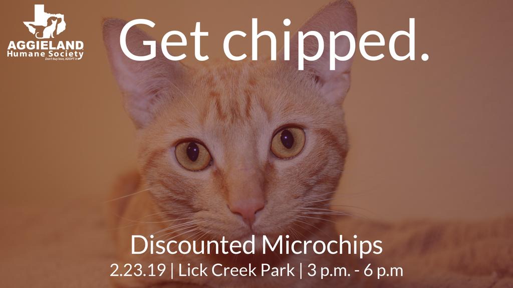 AggielandHumane's tweet photo. Have a back up plan in case your pet ever goes missing! 🐶🐱
Discounted microchips are being offered this Saturday @ Lick Creek Park from 3 p.m. - 6 p.m.
#GetChipped https://t.co/iSu0u3y2c0