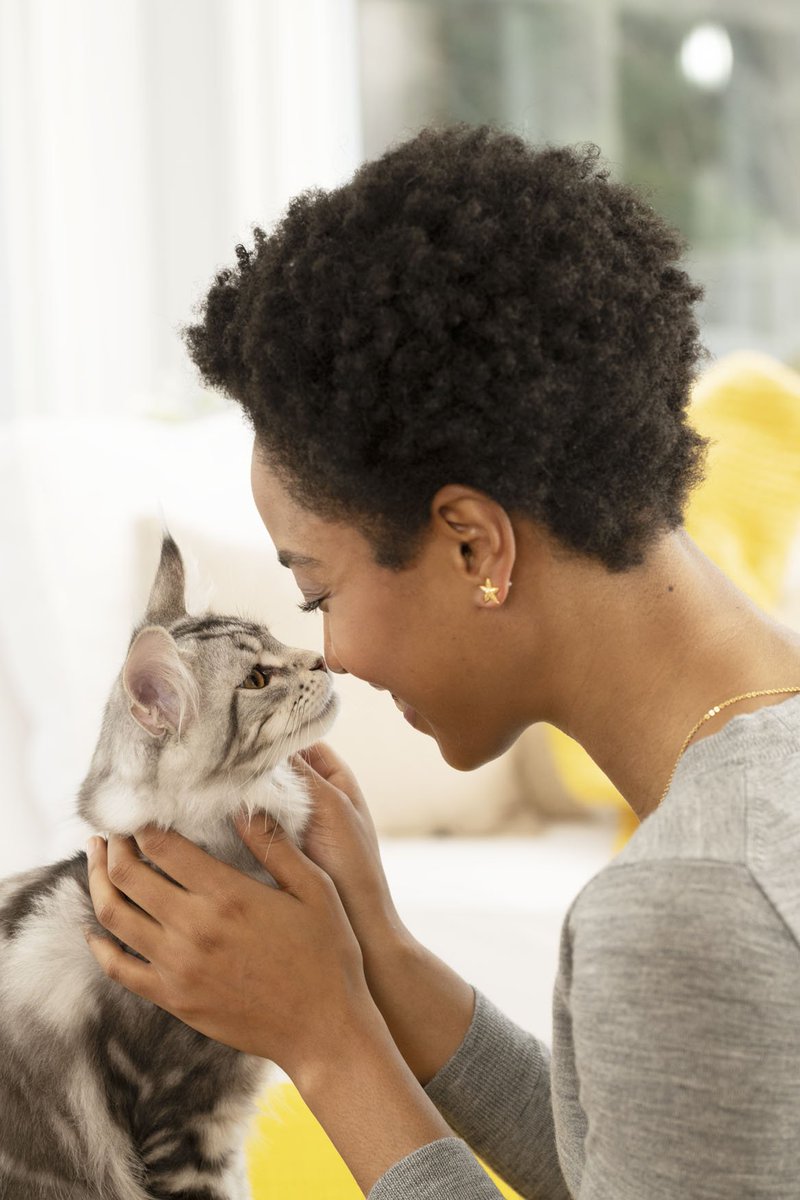 Helping more cat owners keep a TIDY litter box &amp; creating jobs—meow that's what we call a win-win. Get the whole scoop here: newscenter.purina.com/2019-02-21-Pur…