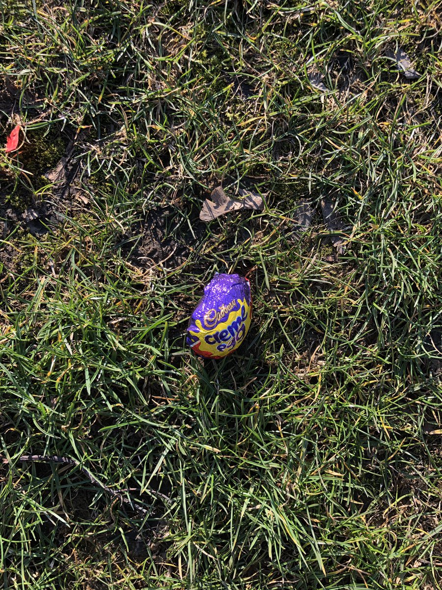 eat965's tweet photo. قرب ايستر وصار عالبيبان .. احنا ما��نا شغل فيه 🐰🐣 😅
#mcr #eat965 https://t.co/L7mg2Sh9zK