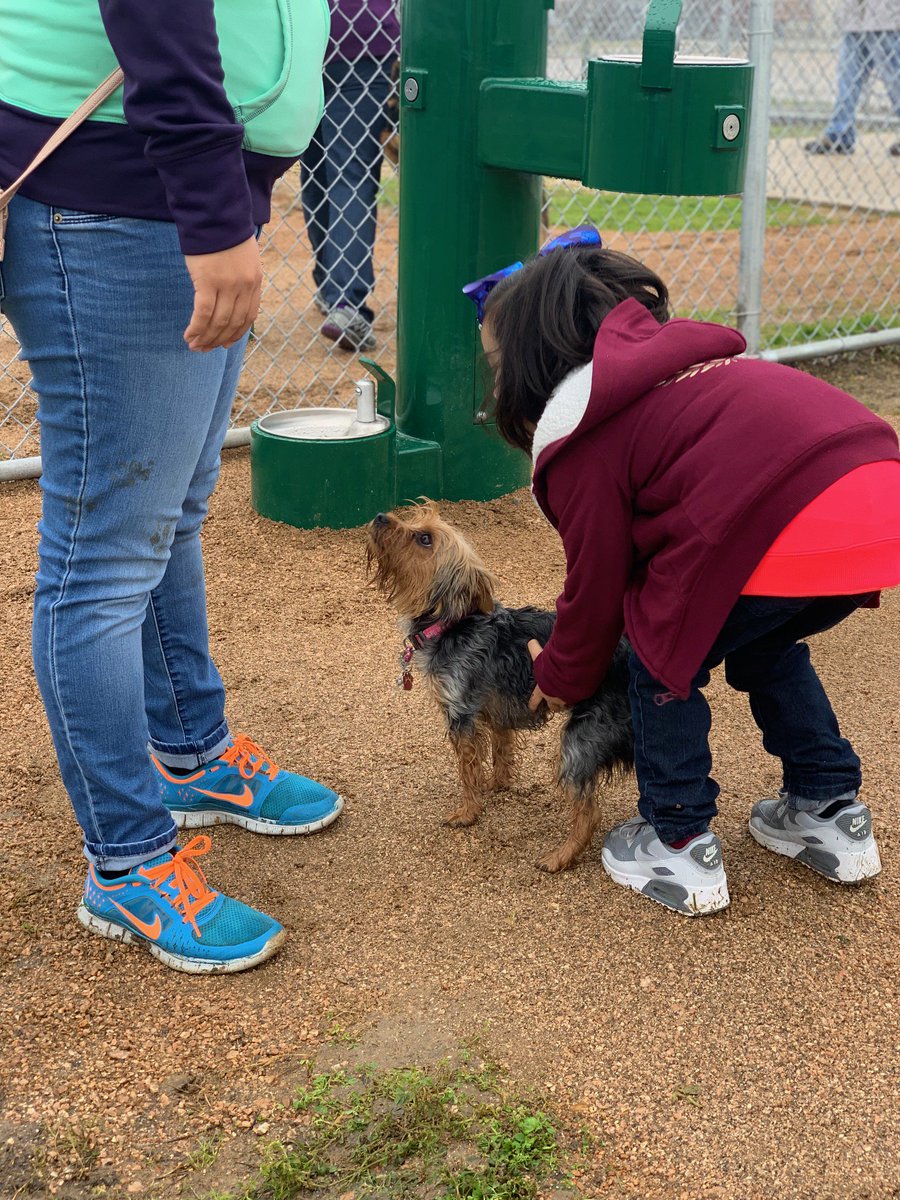 PetsPasadenaTX's tweet photo. The City of Pasadena's new dog park is open! Made possible by a grant from PetSafe, it features equipment, shade structures, and a dog wash station. The park is located directly behind our Adoption Center at 5160 Burke Road. Stop out and visit us! https://t.co/68alovhL1u