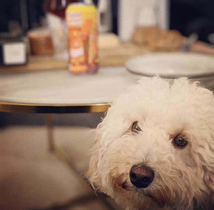 A Review By Brew tweet media