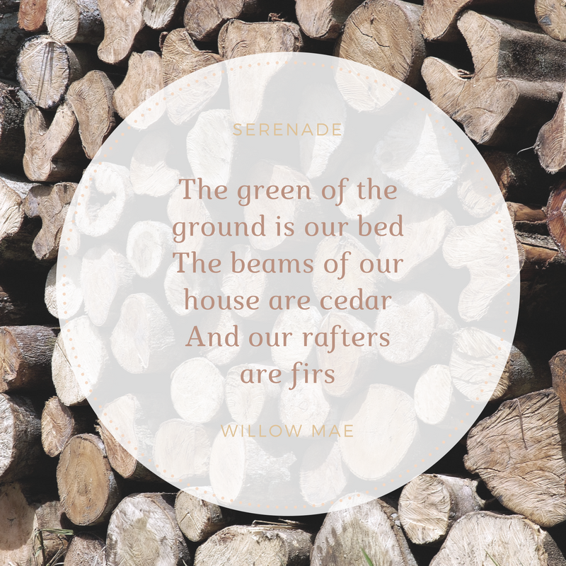 willowmaemusic's tweet photo. "The green of the ground is our bed" Lekker samen in het gras liggen, het groene, frisse gras ruiken en vooral jouw gezicht zienβ¦. #serenade #songofsongs #newmusic #albumrelease #willowmae #instamusic https://t.co/s8rcZPtAP0