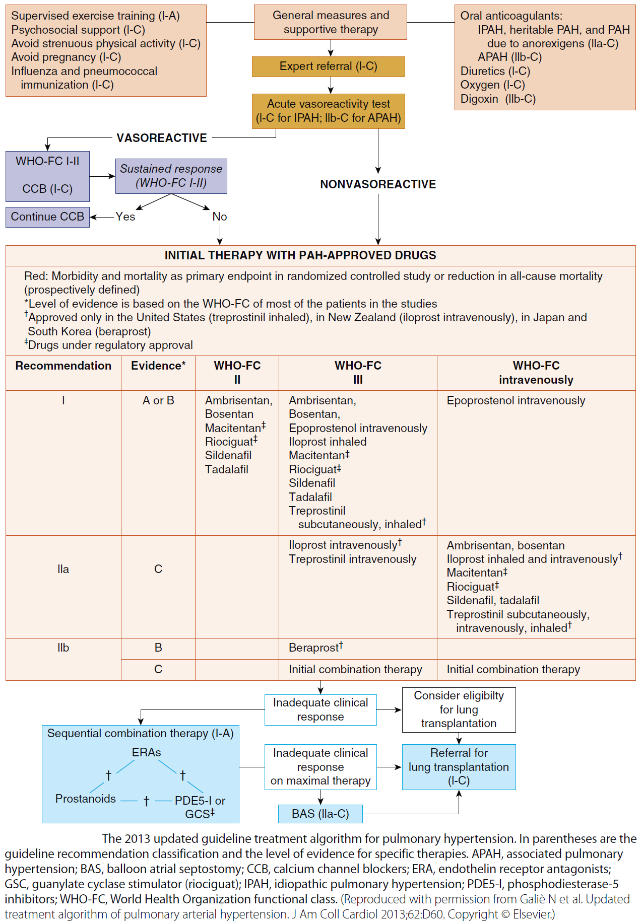 Pulmonary hypertension sale treatment