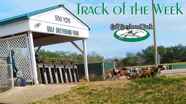 greyhoundchan's tweet photo. Play our FREE #Handicapping contest at @gulfgreyhound tomorrow, 2/23, for your chance to win up to $200! *Must be an account holder. Details: https://t.co/qv4l5uABhT #GreyhoundRacing https://t.co/7M7RZhWE7s