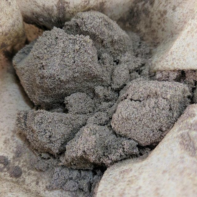 Kief from our Ultimate Purple strain 💜 •
•
•
•
•
#OMMF #ommfarm #ultimatepurple #kief #olympicmountainmanfarm #WAgrown #benzofarms #pnwstoners #pnw #portangelesstoners #washingtonstoners #weed #cannabis #mmj #successfulstoners #i502 #marijuana #G… ift.tt/2XiTcjV