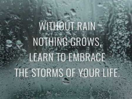 _DotConnector_'s tweet photo. Keep growing through the pain 💪 https://t.co/wVf0J3ubzI
