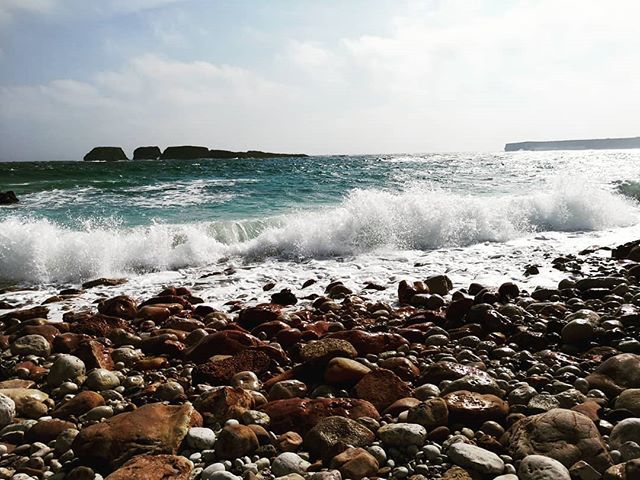 Baldwin Harris tweet media