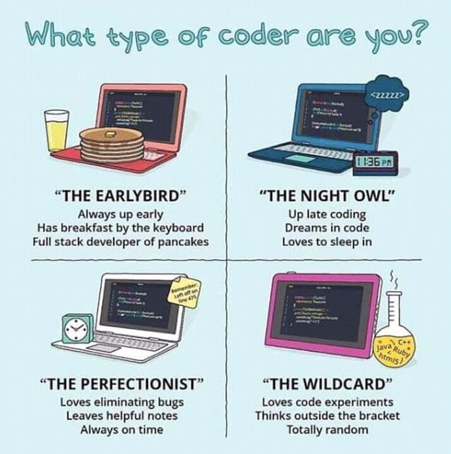shamnascv's tweet image. What type of #programmer are you?
#codingtweet #coder #javascript