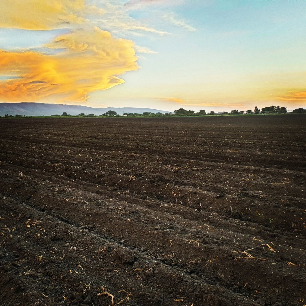 Beautiful sky this afternoon at one of our recently prepared fields #southafrica #farming #landscape #agriculture #healthyfood #soil
