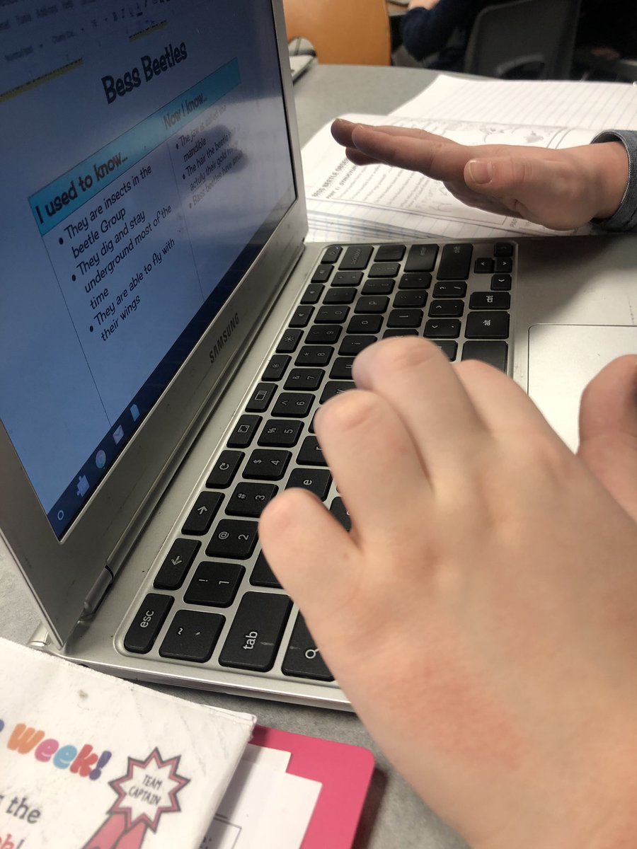 Amy Quinn tweet media