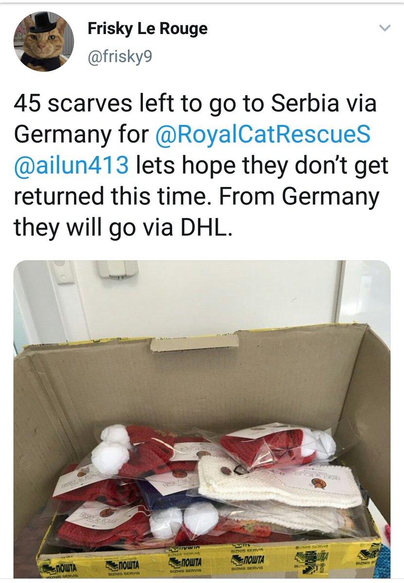 RoyalPetRescueS's tweet photo. Dear sir Gladders @TreasuryMog,
#RCRS๐ด๐พ๐ต๐พโช needs urgent HELP from #AmbassaCats & #FriskyArmy.
Please, SHARE, RETWEET or DONATEโwe are running out of #food #CatFood for 21 rescue-cats.
And need to pay 48$ USD for #PostalFees for #FriskyScarves.
https://t.co/54XvdW4A5G https://t.co/WHpXO7yA9Y