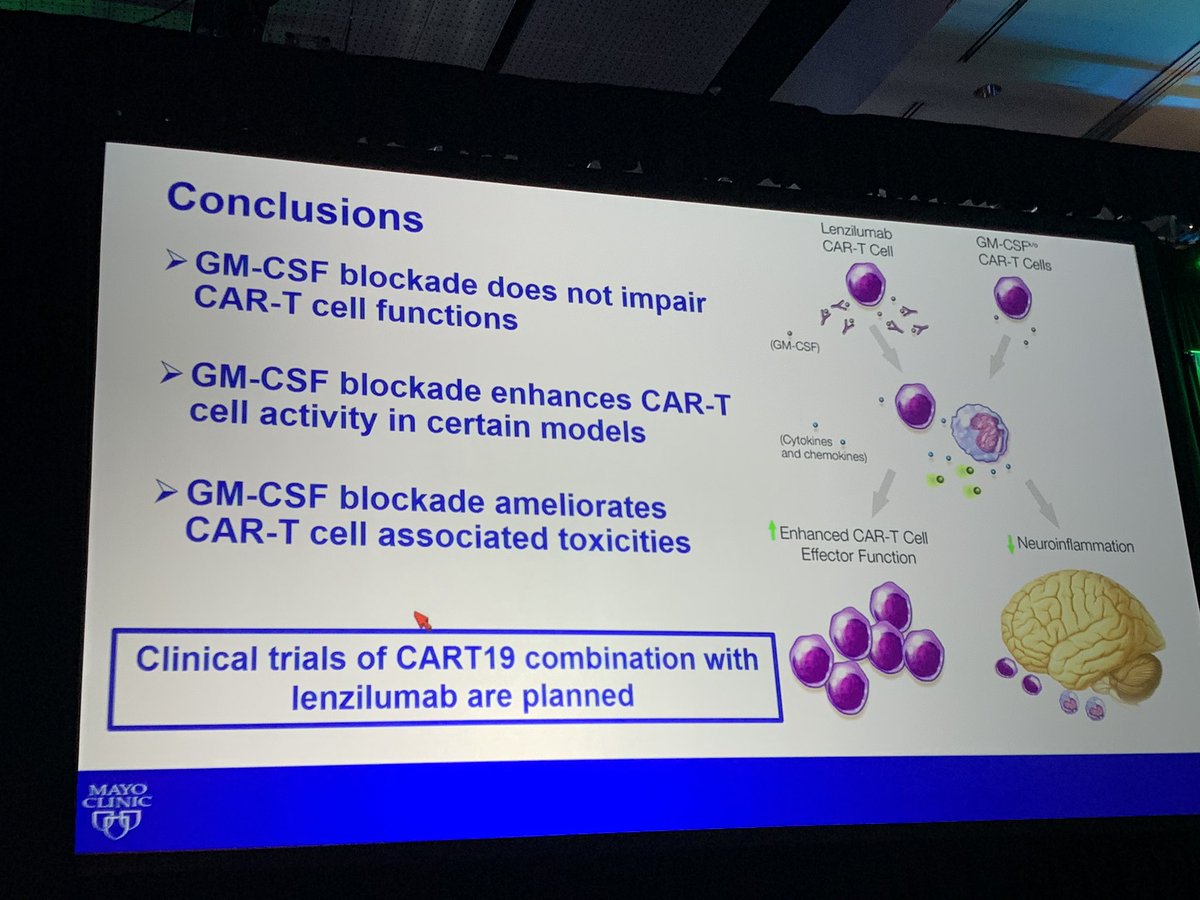adrianabello's tweet photo. #TCTM19 #bestabstracts GM-CSF antibody promising in #CarTcell therapy https://t.co/tp2Rrufgmj