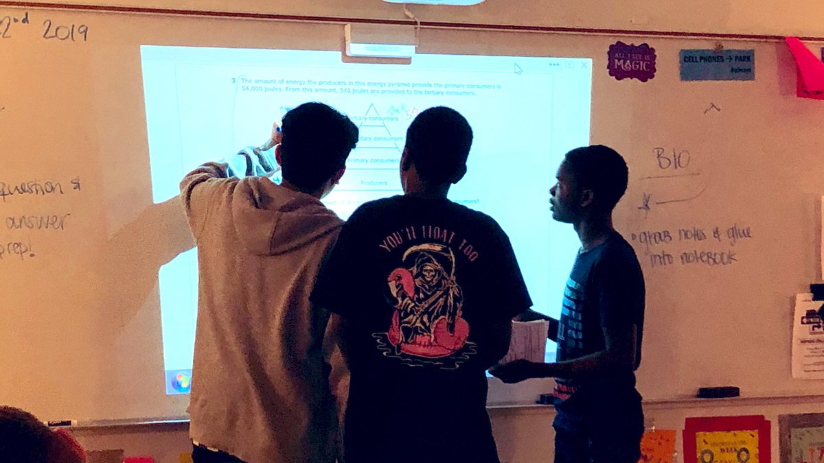 MsAllieNS_ESOL's tweet photo. #ESOL Biology students deconstructing EOC test prep โQuestion of the Dayโ! #proudteacher #gamilestone #ELLsCan #SpartanStrong @EsolFulton @SIOPModel @TESOL_Assn @QHuntNS @DrWilkinsNSHS @tchapmanCMW https://t.co/rm5NhRpGZ1