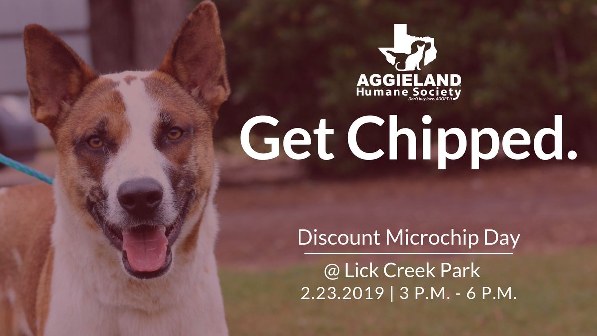 AggielandHumane's tweet photo. 💥We are offering discounts on microchips! Come bring your pet and lets #GetChipped 💥
$15 microchips on Saturday @ Lick Creek Park, from 3 p.m. to 6 p.m.
Who doesn’t love a good deal?! And it takes less than 5 minutes! https://t.co/Pq6lGIfua3