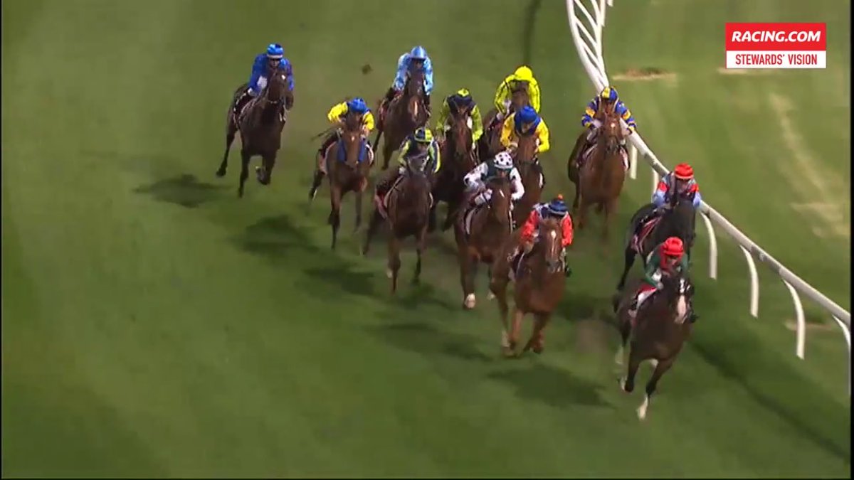 DOBrienRacing's tweet image. Let’s relive the ride from @blprebble and the jaw-dropping turn of foot from Embrace Me to win the Group 3 Tycoon Tracy @TheValley last night #lasttofirst #ohmy #wowee #stewardsvision