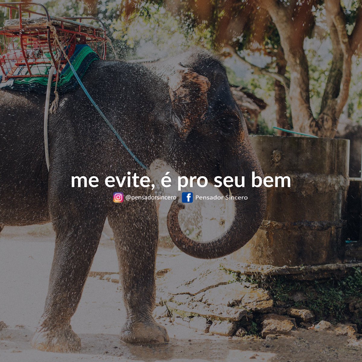 pensadortwitta's tweet photo. conselho https://t.co/zpKULtmDFD