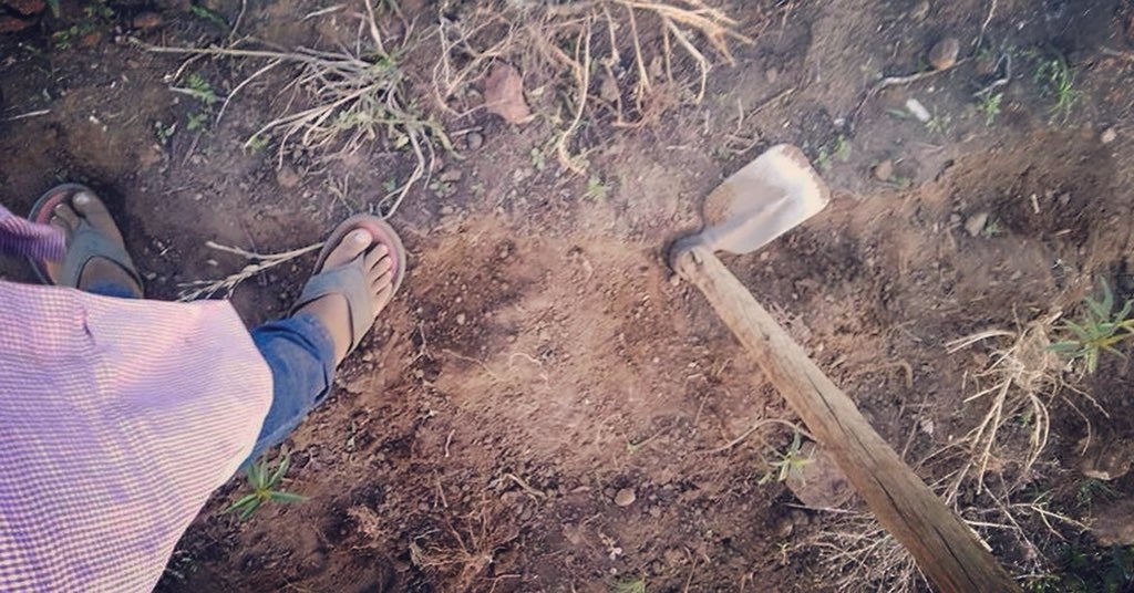 Reclaimed Project is starting The Peach Tree Project. 🍑🌳After 3 years of growing the trees, they are purchased back by the government. The profit from the project will greatly increase the sustainability of our care centers. #equippingchangemakers