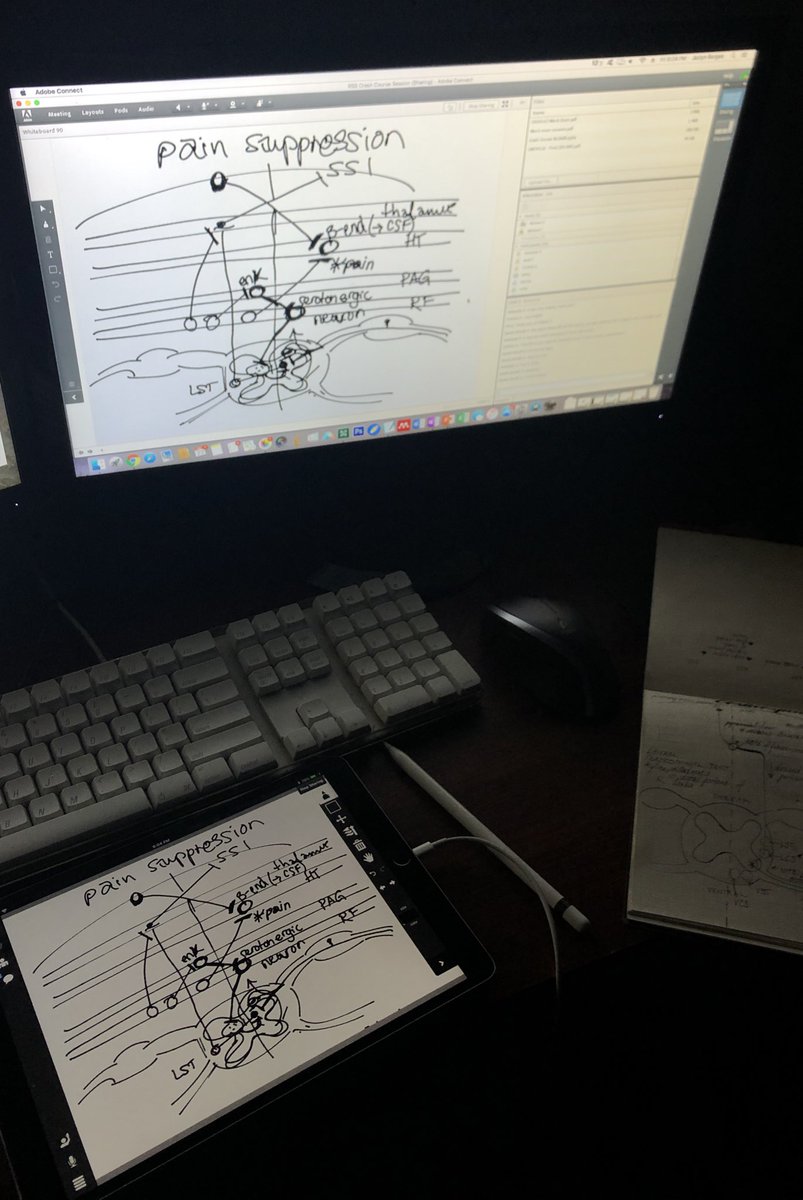 JazlynBorges's tweet photo. What a day! Crash course session, one-on-one tutoring, work - now off to the lab. 😊 #physiology #painpathways #neurotransmission https://t.co/7llUjz8tjs