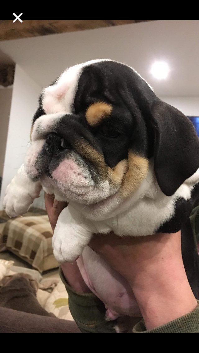 FatcarpDale's tweet photo. https://t.co/3D7RpBkNhh