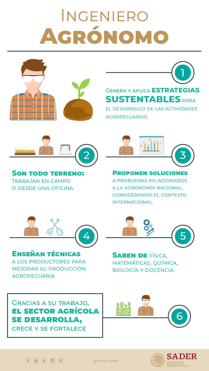 Agricultura_mex's tweet photo. Reconocemos la dedicación y las valiosas aportaciones que los ingenieros agrónomos han realizado a nuestro #CampoMexicano. Agradecemos su respeto por la naturaleza, la adecuada protección del medio ambiente y de los recursos naturales.
#DíaDelIngenieroAgrónomo https://t.co/RHWOVlXxxT