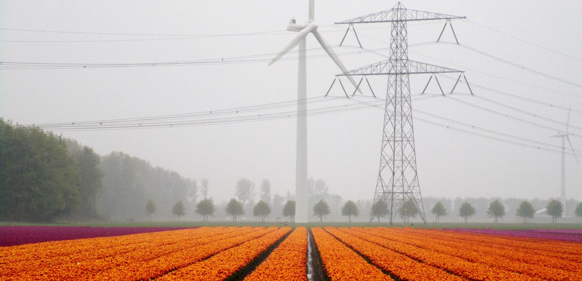 Vabnet's tweet image. Schaalvergroting in de #agro? Hoe en waarom doen akkerbouwers en bollentelers dat? En wat kunnen zij en anderen nog leren en verbeteren? ow.ly/ovyN30nKW8S