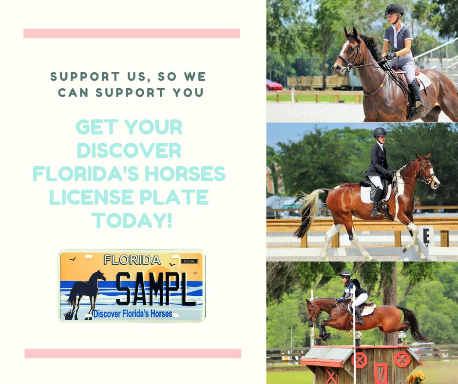 Get yours today! #License #florida #horses #amazing #donate #Ocala