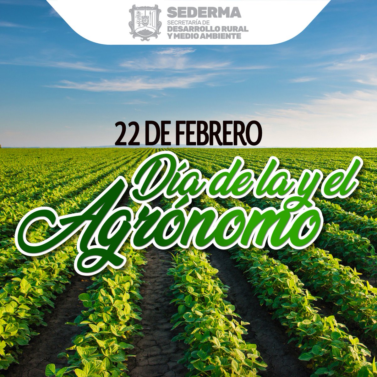 SEDERMA2's tweet photo. ¡ Felicidades ! a las y los ingenieros agrónomos por su compromiso e imprescindible labor con el desarrollo del campo mexicano. https://t.co/OzPwwVGGLh