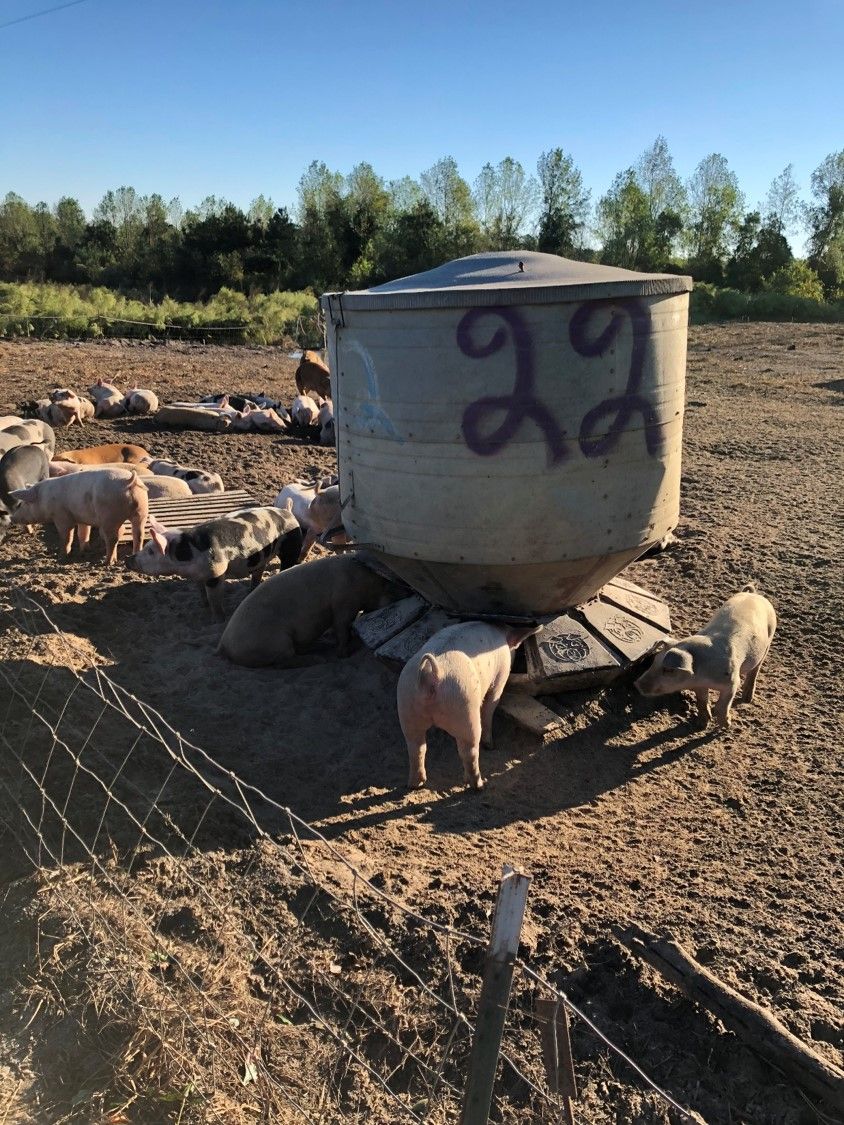 We keep it true farm to table here. We source all our protein from local farms in the area &amp; have even visited them to know exactly what we're getting. Come try one of our farm fresh entrees today!