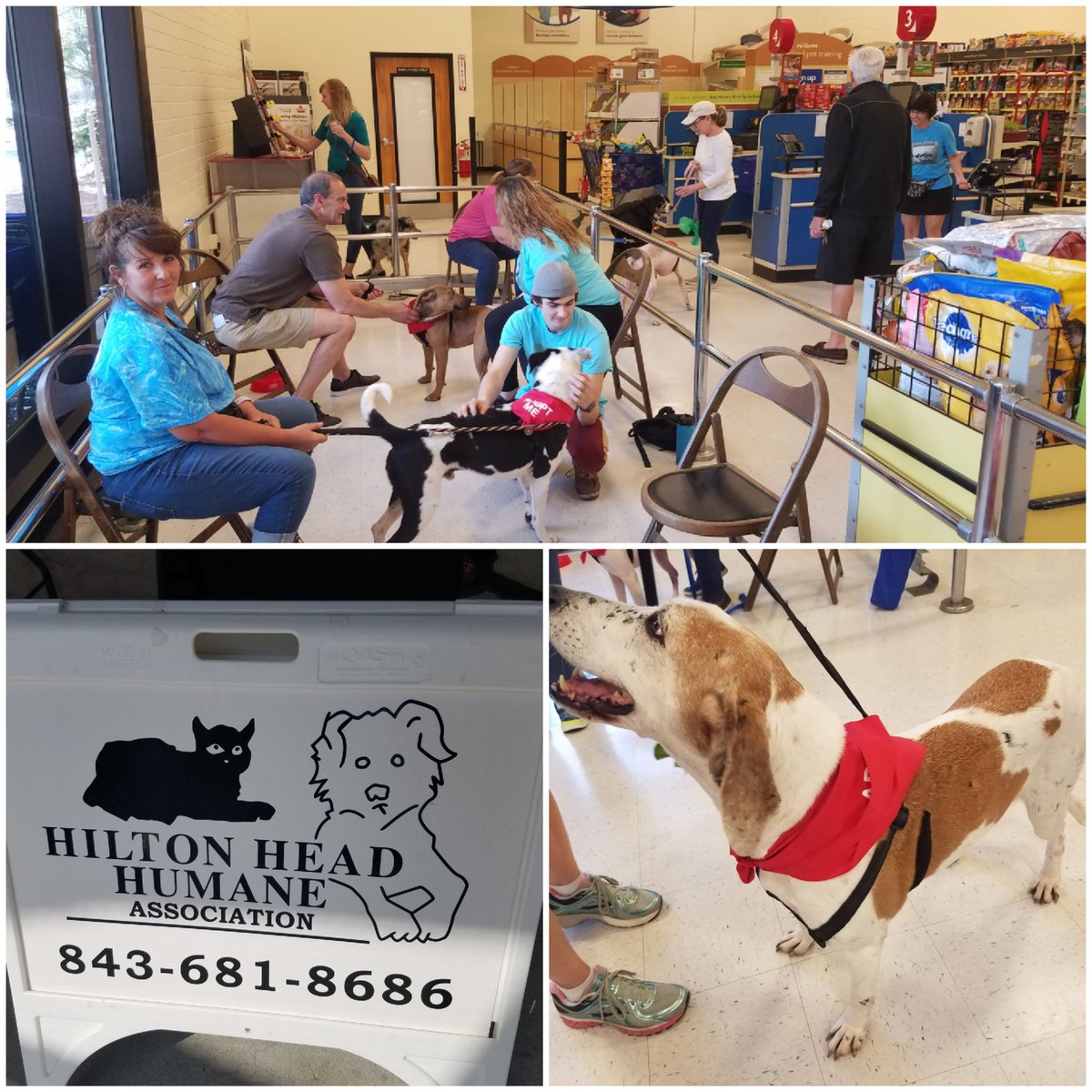 Adoption weekend starts today! Come find your new best friends! #fortheloveofpets #petsmartevents #petsmartadoptions #lifeatpetsmart