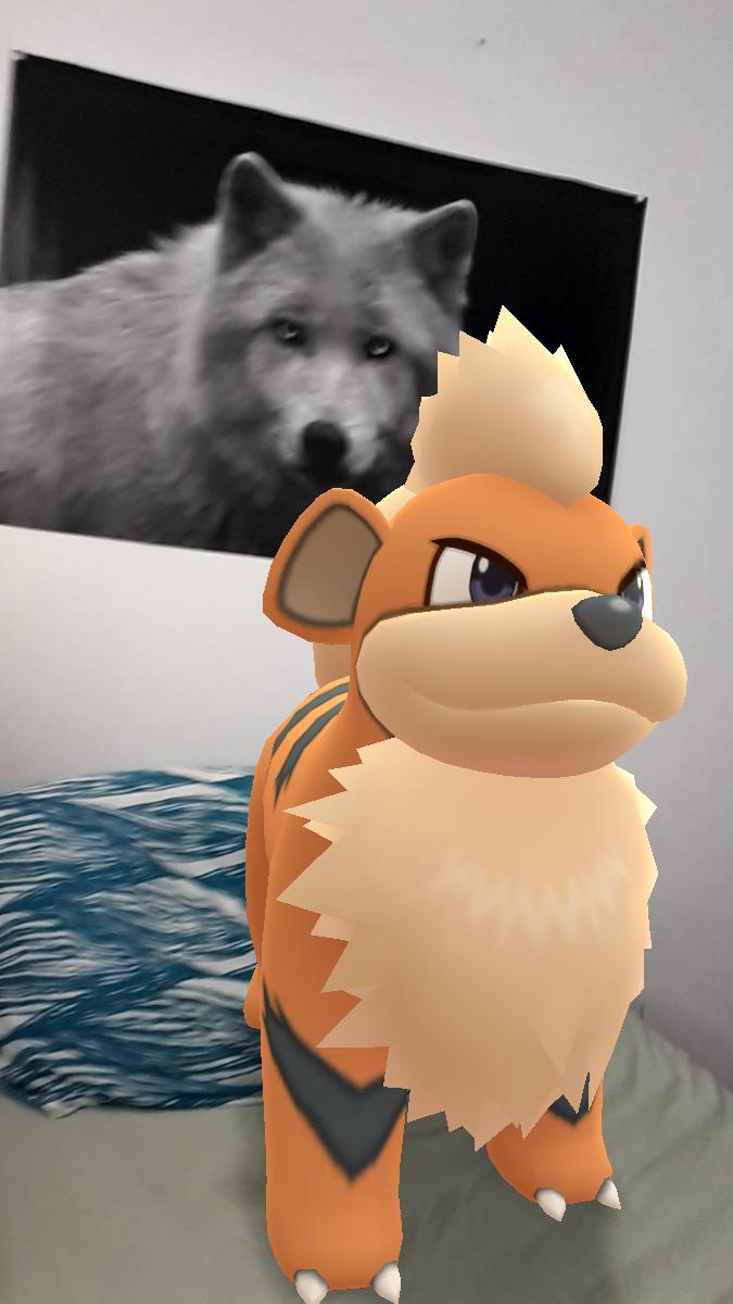 FunkyPunkyan's tweet photo. @trnrtips This is my first photo white #GOsnapshot https://t.co/fIYk3ccqOI