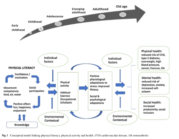 UofTKPE's tweet image. Can #PhysicalLiteracy (the competence, confidence and knowledge to be physically active for life) be used as a #HealthDeterminant? KPE Professor @JohnCairney68 presents a #conceptualmodel on this topic. Read full article here: bit.ly/2XjeePf