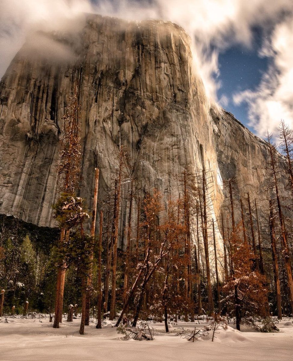 Yosemite Conservancy tweet media