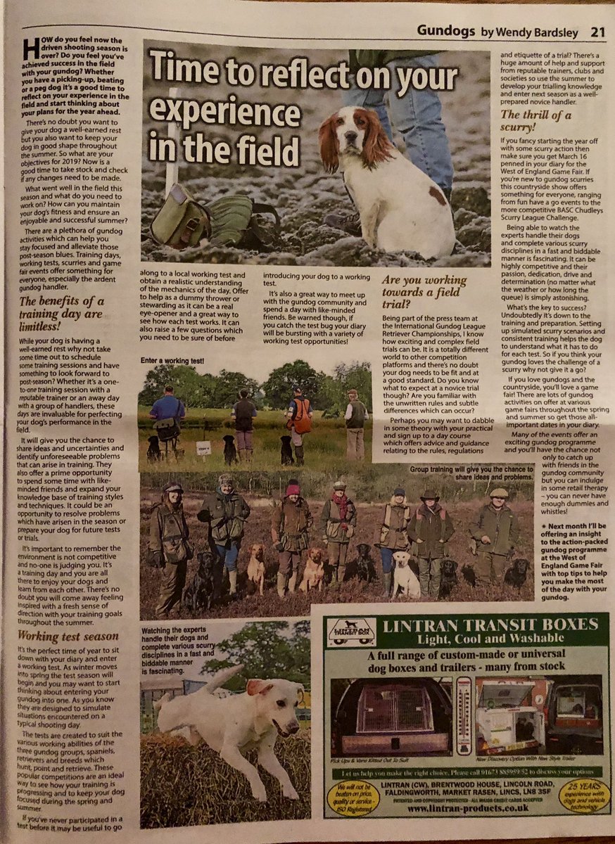 Wbardsley2's tweet photo. Now the season is over what are your #gundog plans for this year? Hope my article in this week’s @CountrymansW will offer some inspiration! #workingdogs #fieldsports #shootinguk #rural #journalism #biddablebardsley https://t.co/KSq5fRCYhY