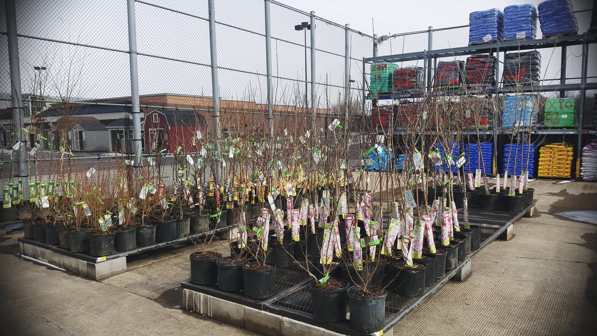 lowes_westhazle's tweet photo. @lowes Fresh shipment of trees and beautiful house have arrived in time to remind you spring is here! #LowesLife #Spring2019 #Lowes #Springnews #plants #SpringMustBeComing https://t.co/AvTYxbFmva