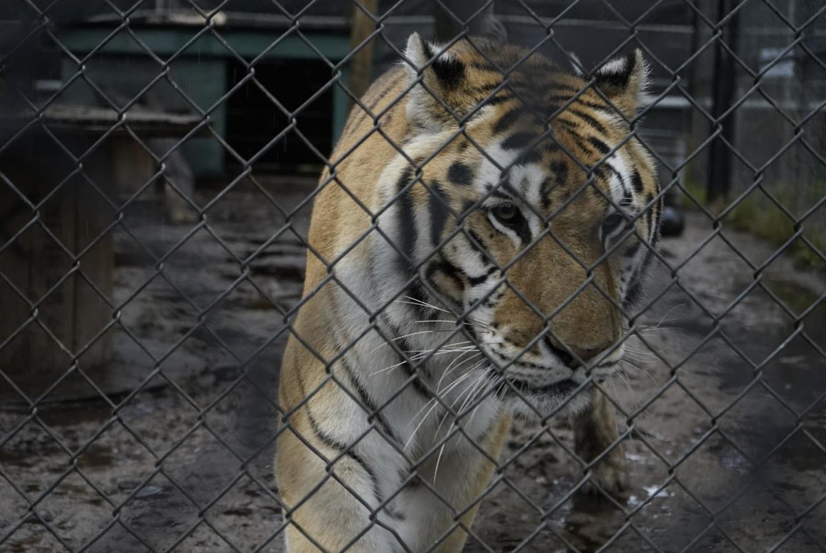 Inside Jacksonville tweet media