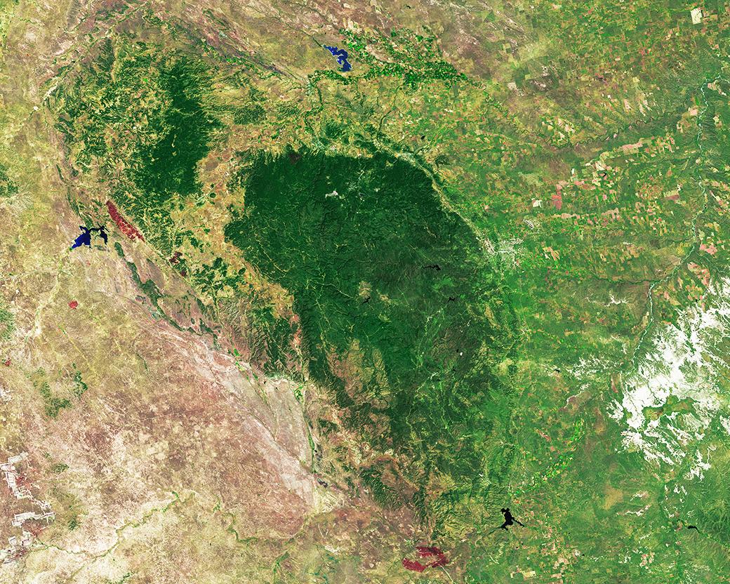 USGSLandsat's tweet image. #OTD in 1987 @BlackHillsNF was established. The forest is surrounded by grasslands and agriculture as seen in this #Landsat8 #SurfaceReflectance image mosaic.