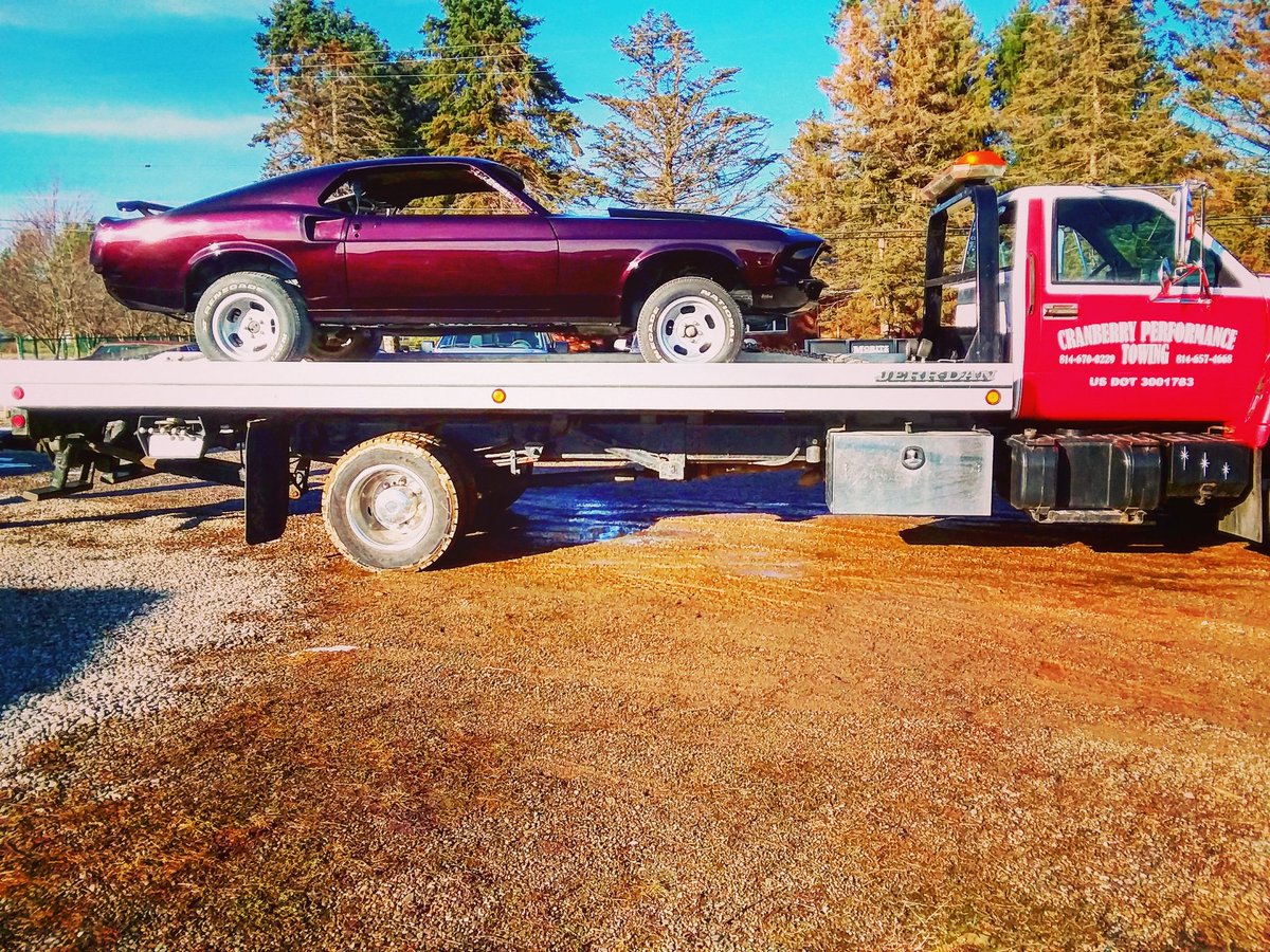 AllisonSanner's tweet photo. Finally got the #mustang done! https://t.co/fvJjdgKZsh