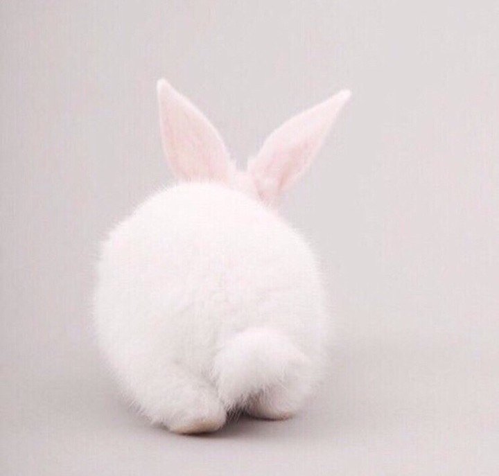 type:A deodorant tweet media