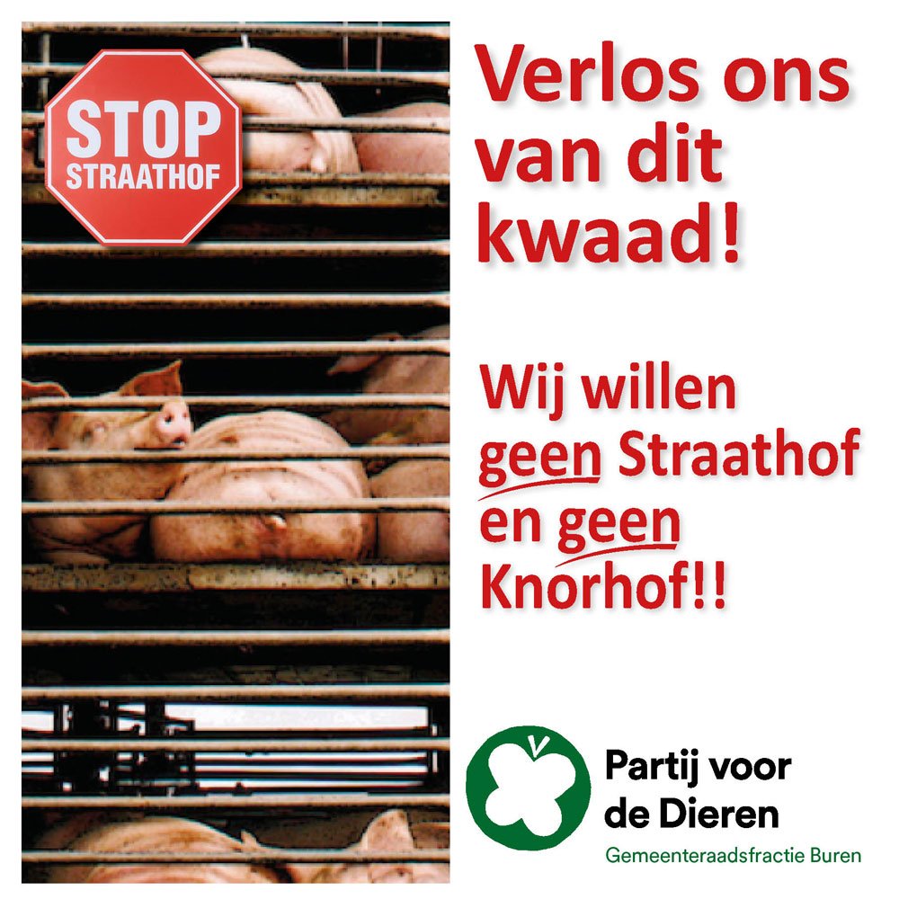 PvdDBuren tweet media