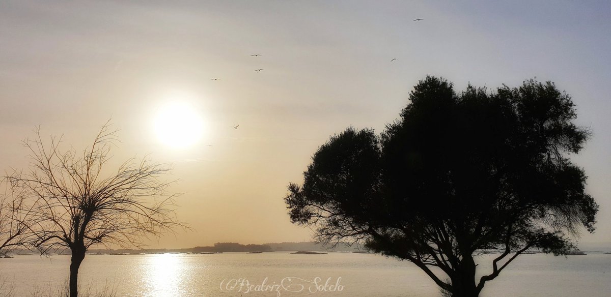 Petiscosgalegos's tweet photo. Cuando el sol se despide sutilmente como queriendo pasar desapercibido entre las nubes... #VilanovaDeArousa #AsSinas #Galiciamola #GaliciaMáxica #SienteGalicia #VisitOSalnes #photography #naturelovers https://t.co/Cu92L5zHn2