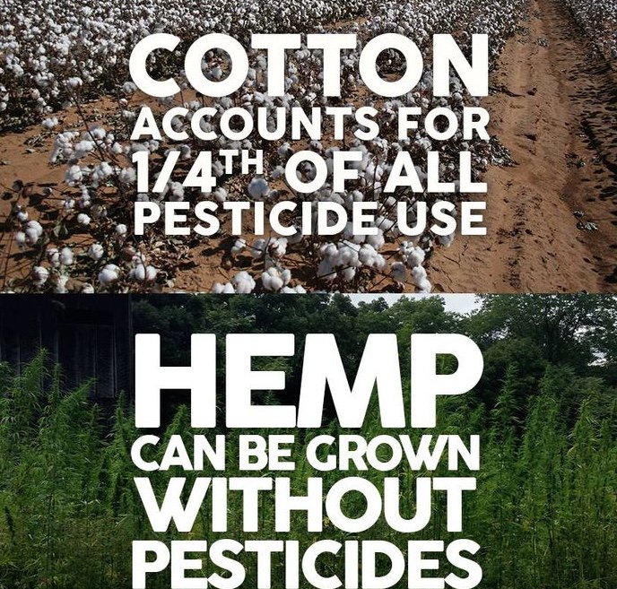RealCannabiz's tweet image. The benefits of hemp are UNDENIABLE!!!
.
Save the planet!! 🌎 NO pesticides!!! 👎🏽 NO herbicides 👎🏽 NO B.S💩
.
.
.
#hemp #hemplife #hemplifestyle #hemphelps #hempheals #cbd #cbdlife #cbdmovement #cannabisculture #realcannabis #realcannabisentrepreneur
