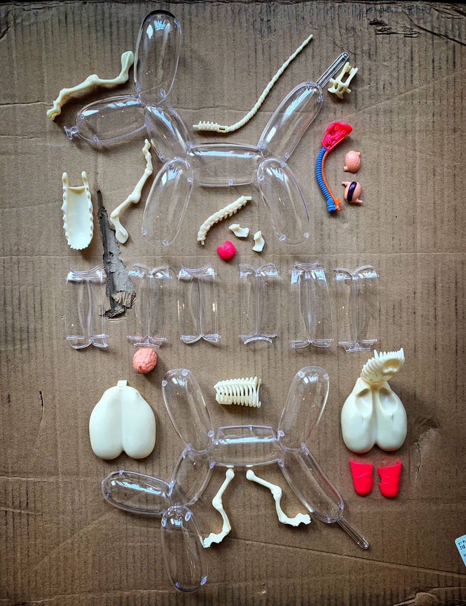 _myplasticheart's tweet photo. It’s operating time! Balloon Dog Anatomy by @gummifetus is back in stock at #myplasticheart.com #balloondog #dog #anatomy #guts #4dmaster #designertoys #arttoys https://t.co/dUuf52ZXpQ https://t.co/riotE4MC8K