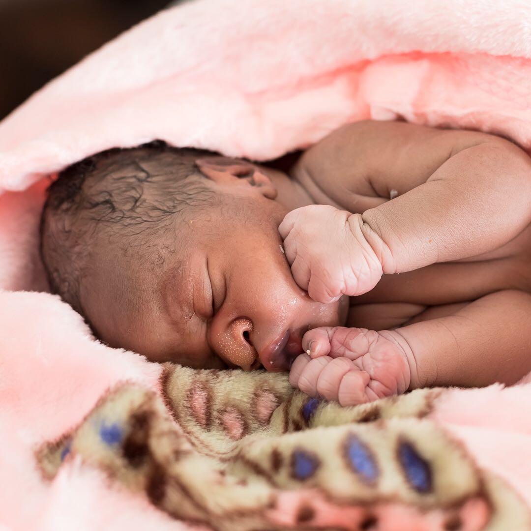 Ian Flower tweet media