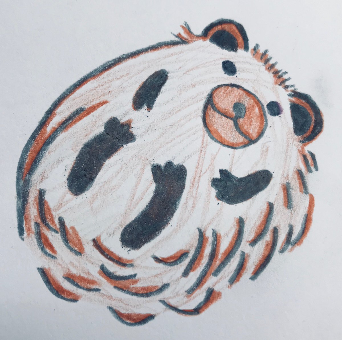 MadCollCreator's tweet image. A couple cute student sketches found in the animal sketchbook in the Studio