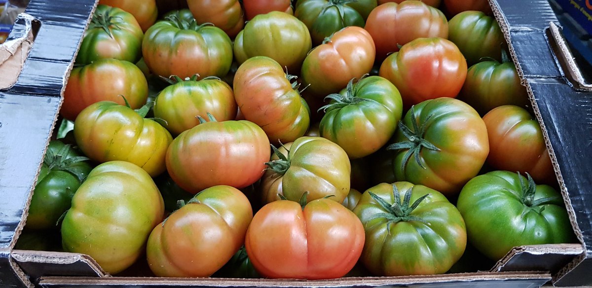 EdBowersBurbank's tweet photo. Some stunning Tomatoes in from Italy last night. More due next week. Camone and Costoluto varieties. #italia #Sicilia #camone #Costoluto https://t.co/8Jp3Ez4iZR