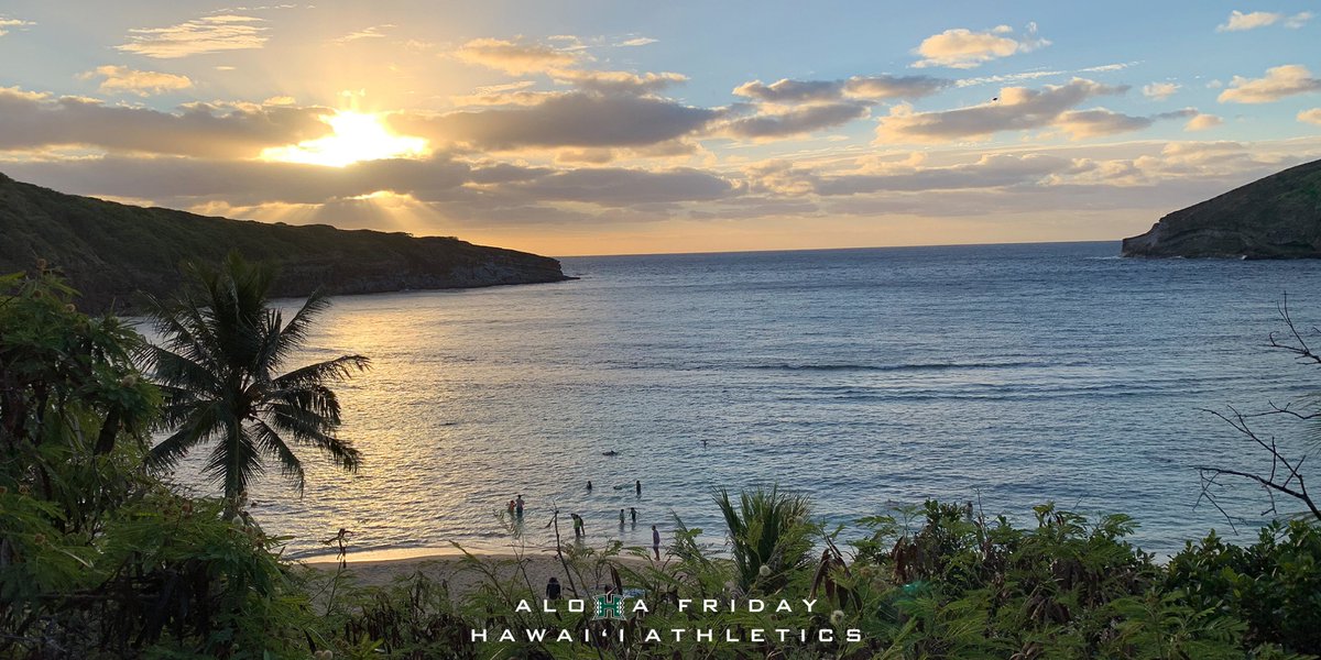 Hawaii Athletics tweet media