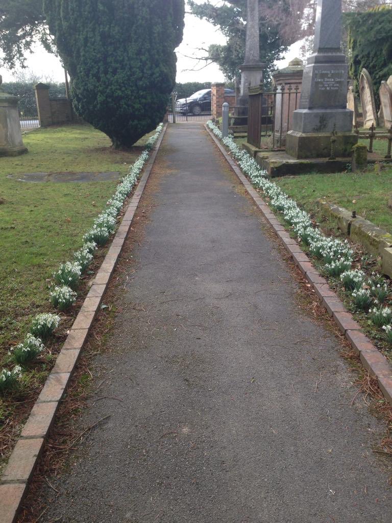 Snowdrops are out at Kingswood! Join us on Sunday for worship at 11am #unitarian #wythall #progressivechristian #inclusivechurch