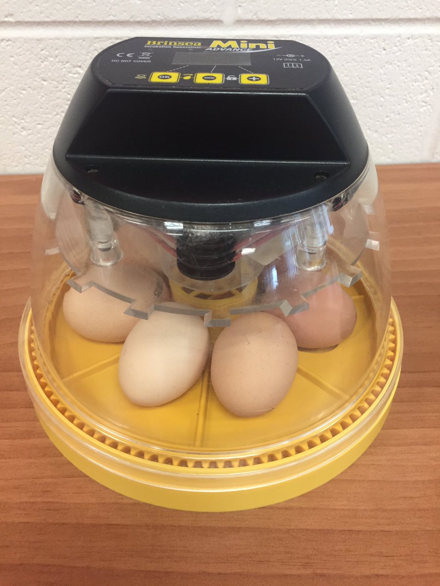 PeakeTeacher's tweet photo. We are chicken farmers#bringthefarmtoyou #thankyou @JaroscakSusan https://t.co/aYDULkbZ17